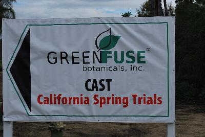Welcome to GreenFuse® Botanicals: California Spring Trials, 2016.