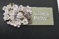 Betty® Sutera  -- 