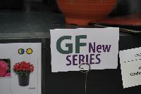   -- A new series from GreenFuse Botanicals Spring Trials, 2016.