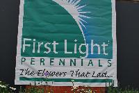 First Light® Perennials  -- As seen @ GreenFuse Botanicals Spring Trials, 2016.  The Flowers that Last.....