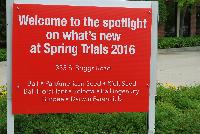   -- Welcome to Ball Horticultural @ Spring Trials 2016, featuring Ball, PanAmerican Seed, Kieft Seed, Ball FloraPlant, Selecta, Ball Ingenuity, Burpee and Darwin Perennials..