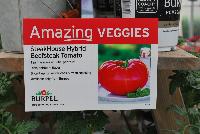  Tomato, beefsteak hybrid SteakHouse -- New @ Ball Horticultural Spring Trials 2016, SteakHouse Hybrid Beefsteak Tomato from Burpee®.  These Amazing Veggies tip the scale ot 3 lbs. Per fruit!  Rich heirloom flavor.  Slice it up for snadwiches and fresh snacking.  Available only from Burpee.  BurpeeHomeGardens.com
