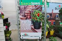   -- As seen @ Ball Horticultural Spring Trials 2016, Burpee® SpaceSavers program which features plan specimens that offer big taste in half the space.  Tons of veggies fit this profile that fit and thrive in containers and small gardens.  BurpeeHomeGardens.com