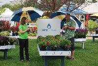   -- PlantHaven CEO Robert Bett outlining some of the features and benefits of the WaterSaver™ Program to GIE Media Editor Karen Varga during a downpour at Spring Trials, 2016.  Might be all the water these plants need for a while....