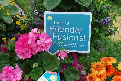 From the HGTV Home Collection® as seen @ Edna Valley Vineyards, Spring Trials 2016:  Inspire Friendly Fusions!  The Expressions™ line of Annuals from HGTV Home Plant Collection is the perfect opportunity to express your personal style in your garden or yard.