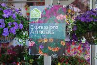 Expressions Annuals™  -- From the HGTV Home Collection® as seen @ Edna Valley Vineyards, Spring Trials 2016:  Inspire Friendly Fusions!  The Expressions™ line of Annuals from HGTV Home Plant Collection is the perfect opportunity to express your personal style in your garden or yard.