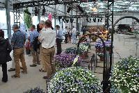   -- Welcome to Westflowers @ Floricultura, Spring Trials, 2016.  Several visitors learning about the Crazytunia® varieties from Westflowers.