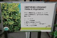   -- Welcome to Plug Connection @ the Floricultura facility in Salinas, CA for Spring Trials 2016, featuring a full line of Certified Organic Herbs & Vegetables, from classic to artisan, including 60+ herbs, 50+ peppers, 200+ tomato varieties and a great selection of other garden fresh vegetables.