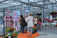   -- From Sakata Ornamentals Spring Trials 2016:  Guests enjoy the “Selfie Station” where visitors could get a selfie or group photo with a cut-out of P Allen Smith, celebrating Home Grown Vegetables and the 10 Year Anniversary of SunPatiens® Impatiens.