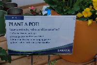   -- From Sakata Ornamentals Spring Trials 2016:  Guests enjoy the “Selfie Station” where visitors can Plant a Pot of varieties and take a selfie.  Relax, take a minute and be creative.  Selfies are assembled @ #SakataSelfie