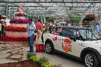 SunPatiens® Impatiens  -- From Sakata Ornamentals Spring Trials 2016:  Celebrate the 10 Year Anniversary of SunPatiens® even MORE – 1) MORE colors and foliage options, 2) MORE plant habit choices, 3) MORE blooms spring thru fall, 4) MORE blooms in sun or shade, 5) MORE disease resistance, 6) MORE proven performance, 7) MORE cultural support, 8) MORE brand recognition, 10) MORE peace of mind.