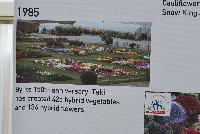   -- From Takii Seed @ Spring Trials 2016: Celebrating 180 Years of History highlighting that by it's 150th anniversary, it had created 425 hybrid vegetables and 136 hybrid flowers.