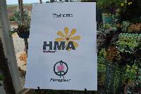   -- Welcome to HMA Plants® @ American Takii, Spring Trials 2016 working in partnership with FloraPlant®, featuring a full compliment of succulents.