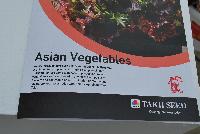 Asian Vegetables  -- From Takii Seed, Spring Trials 2016, featuring Asian Vegetables Program, a unique blend of products bringing exceptional taste, nutrition, texture along with ease of production.  Asian Vegetables can be produced in any form from packs to baskets and easily sold as a combination or stand-alone.  Invigorate your sales today with Asian Vegetables from Takii.
