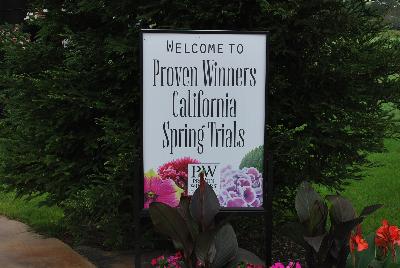 Welcome to Proven Winners® Spring Trials 2016 at a new location, Kirigin Cellars Winery in Gilroy, CA.