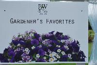   -- From Proven Winners® Spring Trials 2016: Gardener's Favorites