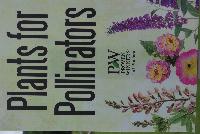   -- From Proven Winners® Spring Trials 2016: Plants for Pollinators.