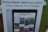   -- From Proven Winners® Spring Trials 2016: Using Social Media to keep consumers informed about what plants to plant where.