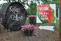   -- Welcome to Kirigin Cellars Winery, host to Proven Winners® Spring Trials 2016, in Gilroy, California.