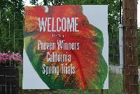   -- Welcome to Kirigin Cellars Winery, host to Proven Winners® Spring Trials 2016, in Gilroy, California.