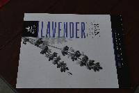   -- From Pacific Plug & Liner, Spring Trials 2016: Offering several, detailed brochures about different growing programs.  Here, Solution No. 3:  Lavender.