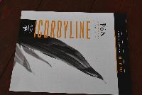   -- From Pacific Plug & Liner, Spring Trials 2016: Offering several, detailed brochures about different growing programs.  Here, Solution No. 4: Cordyline.