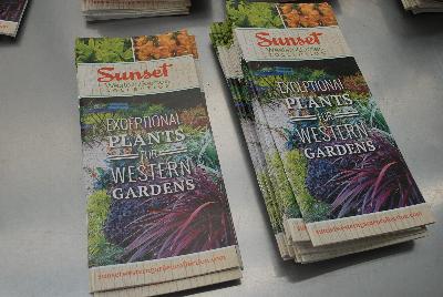From Sunset Western Garden Collection®, Spring Trials 2016: Exceptional Plants for Western Gardens.  More @ www.sunsetwesterngardencollection.com