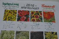   -- From Sunset Western Garden Collection®, Spring Trials 2016: New Releases for 2016.  Exceptional Plants for Western Gardens.  More @ www.sunsetwesterngardencollection.com