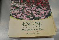   -- From Sunset Western Garden Collection®, Spring Trials 2016: the new 'Autumn Fire™' Encore® Azalea.  More Blooms, More Often.™  More @ www.encoreazalea.com