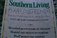   -- From the Southern Living Plant Collection®, Inspired Gardening for the Way You Live.  Trusted Brand loved by Millions.  Tested and Improved Varieties.  Full Marketing Support.  SouthernLivingPlants.com