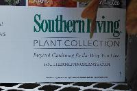   -- From the Southern Living Plant Collection®, Inspired Gardening for the Way You Live.  Trusted Brand loved by Millions.  Tested and Improved Varieties.  Full Marketing Support.  SouthernLivingPlants.com