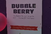  Strawberry Bubble Berry -- From Pacific Plug & Liner, Spring Trials 2016: the 'Bubble Berry' Strawberry produces its delicious berries June to August.  “I taste like bubblegum!”