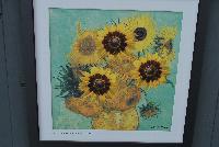  Rudbeckia hirta  -- On the wall @ Benary® Spring Trials 2016: an artist rendition inspired by Van Gogh: Denver Daisy.