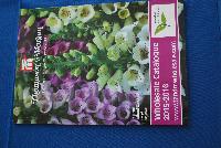   -- From Thompson & Morgan Spring Trials, 2016 @ Speedling:  Our 2015-2016 Wholesale Catalogue.  Innovation for All Seasons.  Experts in the Garden Since 1855.   Learn more @ TandMWholesale.com