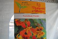  Nasturtium Phoenix -- From Thompson & Morgan Spring Trials, 2016 @ Speedling:  the Nasturtium 'Phoenix'