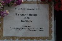  Lobularia Lavender Stream -- As Seen @ Danziger “Dan” Flower Farm Spring Trials 2016: Lobularia 'Lavender Stream' Voted the Best Lobularia 2015 by Colorado State University Annual Flower Trial Garden, Department of Horticulture and Landscape Architecture.