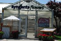   -- Welcome to Syngenta Flowers Spring Trials 2016: Featuring many leading series of great plant specimens and the technical and marketing support to ensure success.
