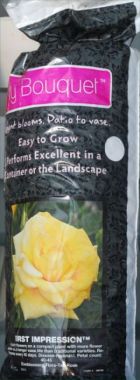 Easy Bouquet&trade; First Impression&trade; Rose: Simple packaging; easy to grow; performs excellent in the container or landscape.