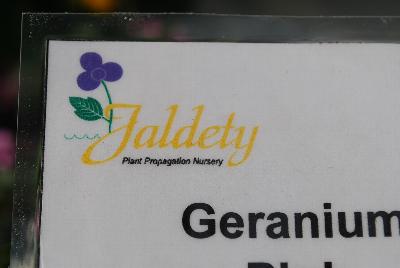 Jaldety, Spring Trials, 2015: As seen @ Jaldety Plant Propagation Nursery, Spring Trials 2015.