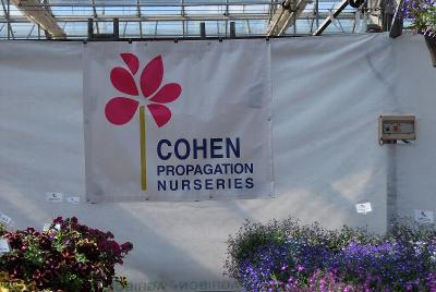 At COHEN Propagation Nurseries, 2014: Welcome to COHEN Propagation Nurseries, Spring Trials, 2014.