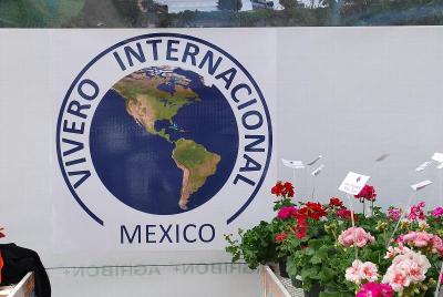 At Vivero International, Spring Trials 2014: Welcome to Vivero Internacional, Spring Trials, 2014.