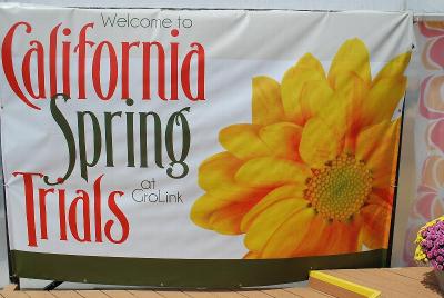 From Grolink, Spring Trials 2014: Welcome to California Spring Trials @ GroLink, Oxnard, CA 2014.