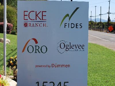 Varieties Galore @ Fides-Oro: At Fides-Oro Spring Trials 2013: Featured varieties include Ecke Ranch, Fides, Oro and Oglevee all Powered by DUMMEN.