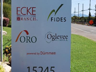 Varieties Galore @ Fides-Oro: At Fides-Oro Spring Trials 2013: Featured varieties include Ecke Ranch, Fides, Oro and Oglevee all Powered by DUMMEN.
