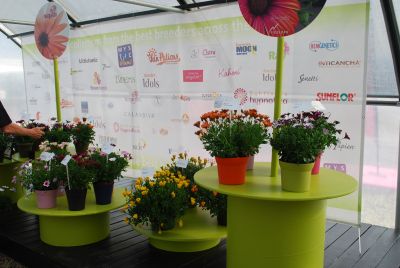 All The Brands Together: Fides-Oro offers and represents a full compliment of many plant brands on the market. 