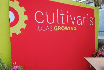 Seen @ Spring Trials 2016.: From Cultivaris® Spring Trials 2016 @ Pacific Plug and Liner: A full collection of unique and proven plant varieties.  Ideas.  Growing.