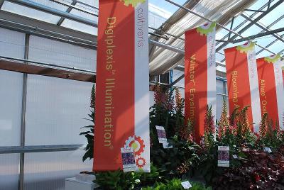 At Cultivaris 2014: Welcome to Cultivaris Presentation @ Spring Trials, 2014.