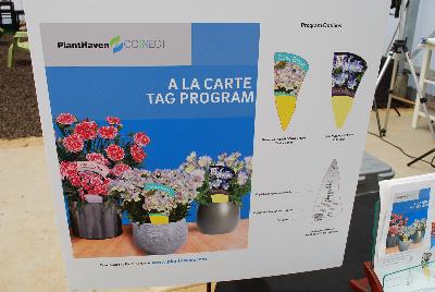 Tags: As seen from PlantHaven @ GroLink Spring Trials 2015.  A la Carte Tag Program.