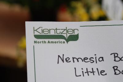 Kientzler, Spring Trials 2015.: From Kientzler North America, Spring Trials 2015.