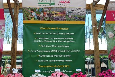 Kientzler, Spring Trials 2015.: Welcome to Kientzler North America, Spring Trials 2015.<ul><li>Family owned business for over 100 years</li><li>Commitment in Ornamental breeding.  Inventor of Paradise&trade; New Guinea Impatiens</li><li>Inventor of Clean Stock supply</li><li>20 year proven supply of URC production in Costa Rica</li><li>Reliable source of quality cuttings</li><li>Costa Rica customer service support</li></ul>